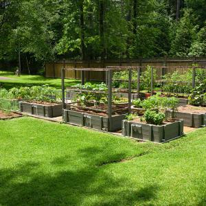 Green plants in large planters on a concrete slab surrounded by bright green grass.