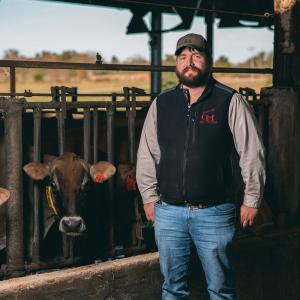 A man gazes off to the left as the sun sets behind him and two cows look at him from the opposite side of the fence he is leaning on.