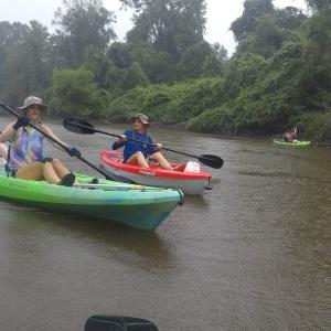 Three women paddling two kayaks in dark brown water. 