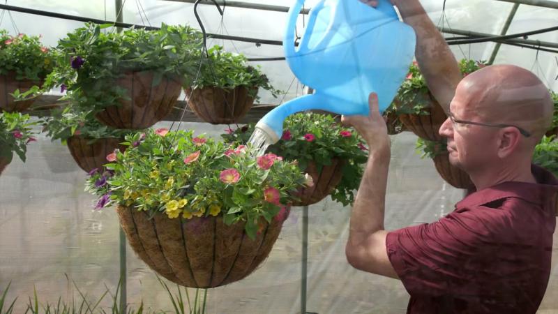 Colorful Hanging Baskets, April 2023