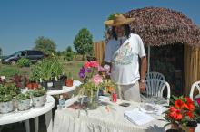 Melvin Campbell of Verona, who has exhibited with other members of the Old South Iris Society at past garden days, decided to venture out on his own this year.