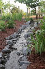 The new rain garden at the Oktibbeha County Heritage Museum absorbs rain water runoff while also adding more visual interest to the landscape. (Photos by MSU Kat Lawrence)