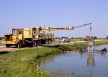 Catfish that have been seined into an enclosed area are scooped out for harvest and trucked to the processing plant. These fish on Battle Farms in Panola County were processed at Pride of the Pond in Tunica. (Photo by MSU Ag Communications/Scott Corey)