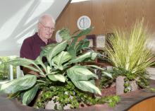 Joe Gordy visits the Mississippi State University campus frequently and has remained involved with his alma mater by serving on the MSU Foundation's board of directors. Here, the internationally renowned floral designer works with plants at MSU's Hunter Henry Center. (Photo by MSU Ag Communications/Kat Lawrence)