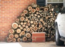 One way to prevent the arrival of termites in the house is to keep stacked wood off the ground and away from exterior walls. (Photo by MSU Ag Communications/Scott Corey)