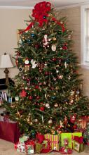 Decorated Christmas tree with gifts under it.