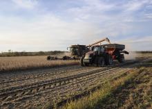 Careful farming practices, such as reduced tillage and restricted traffic patterns, can reduce soil compaction in fields. Compacted soil prevents plant roots from reaching as deep into the soil as needed for peak performance. (Photo by MSU Ag Communications/Scott Corey)