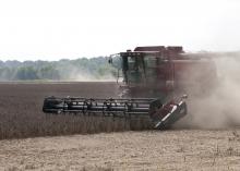 A spread-out planting season means the state's soybean crop will be harvested from early September until the end of October. (file photo)