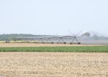 Recent high temperatures and a lack of rain have been harder on crops without irrigation than those with it. Many Mississippi farms are watered through pivot irrigation systems. (Photo by MSU Ag Communications/Marco Nicovich)