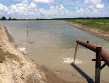 Capturing tailwater from agricultural irrigation allows it to be stored for future use, which conserves water and saves money on pumping costs. This water from a tailwater recovery ditch is being pumped into an on-farm storage reservoir on a row-crop farm in Coahoma County. (Photo courtesy of Austin R. Omer)