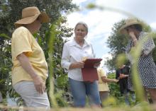 Colleen Wilkins, owner of Sunnyside in Natchez, gathers ideas while visiting the Southern Heritage Garden at the Vicksburg National Military Park on June 13, 2017. (Photo by MSU Extension Service/Bonnie Coblentz)