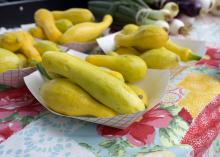 Yellow squash is among the fruits and vegetables available for purchase at the Starkville Farmers Market on May 2, 2017. Early spring temperatures allowed some truck crops producers to plant their fruit and vegetable crops a little early this year. (Photo by MSU Extension Service/Kevin Hudson)