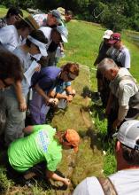 Participants in a Master Naturalist course examine fish caught while seining a pond near Jackson, Mississippi. The process taught them about pond management, including harvest rates or restocking rates. (Photo by MSU Extension Service/Adam Rohnke)