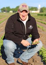 John Orlowski, a Mississippi State University assistant research and Extension professor, inspects soybean seedlings in a plot at the Delta Research and Extension Center in Stoneville. Orlowski will coordinate the first Mississippi Soybean Yield Contest. (Photo by MSU Delta Research and Extension Center/Kenner Patton)