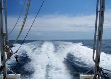 White V-shaped waves trail behind a boat on a sea of blue.