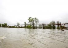 The rusty poles of an overhead, pivot irrigation system and a thin row of trees rise from the waves and gray floodwaters under a bleak sky.