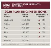 Graphic showing 2020 planting intentions