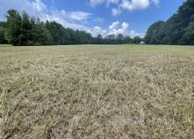 A pasture has nothing but brown stubble.