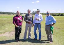 Four men stand in a sod farm.