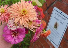 A hand holds blooms in front of a sign.