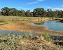 Dried up pond