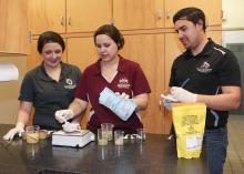 Mississippi State University junior Morgan Von Staden of Olive Branch, Mississippi, and graduate students Liz Ivey of Cumming, Georgia and Hector Portillo of Sarasota, Florida are members of a Department of Food Science, Nutrition and Health Promotion student team developing a product made of culled sweet potatoes that cafeterias could use to increase the nutritional value of school lunches. (Photo by MSU Extension Service, Kat Lawrence)