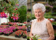 Customers still can find unusual items such as this fuchsia plant (left photo), at The Flower Center in Vicksburg. Bobbie Beard (right), former owner, began the successful horticulture business in her backyard 30 years ago. Her son and daughter-in-law now own the nursery. (Photos by MSU Extension Service/Kevin Hudson)