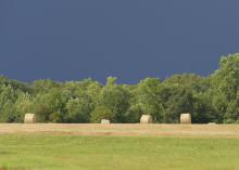 bales of hay in field