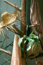 This old tree's branches are convenient and clever places for a gardening hat, one for an apron and another for a basket to harvest cut flowers.