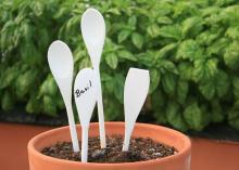 Recycle wooden kitchen utensils into plant tags using paint, markers and clear polyurethane. (Photo by MSU Extension Service/Gary Bachman)