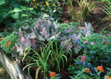 Raised beds should be treated like very large containers and filled with soil mixed with organic matter or bagged container media for good drainage. (Photo by MSU Ag Communications/Gary Bachman)