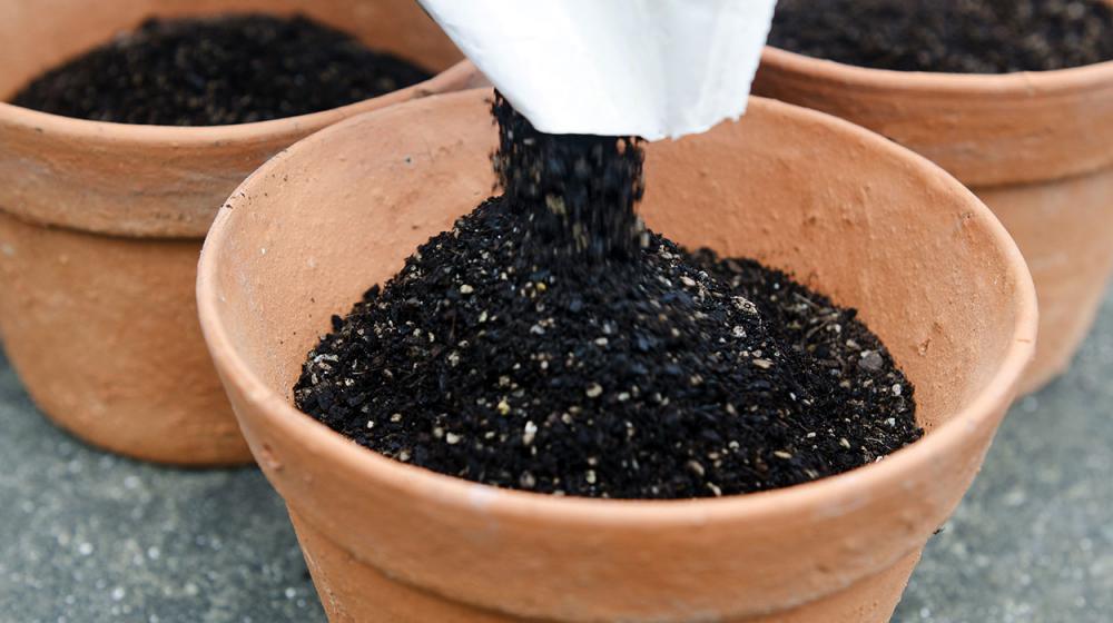 Pouring planting potting soil mix into pots in the garden.