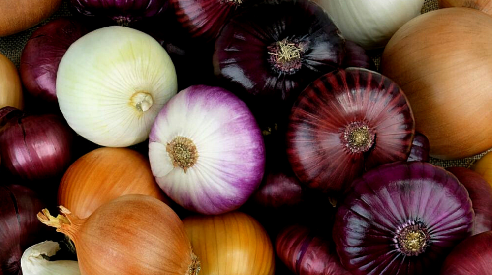 Different color of onions.