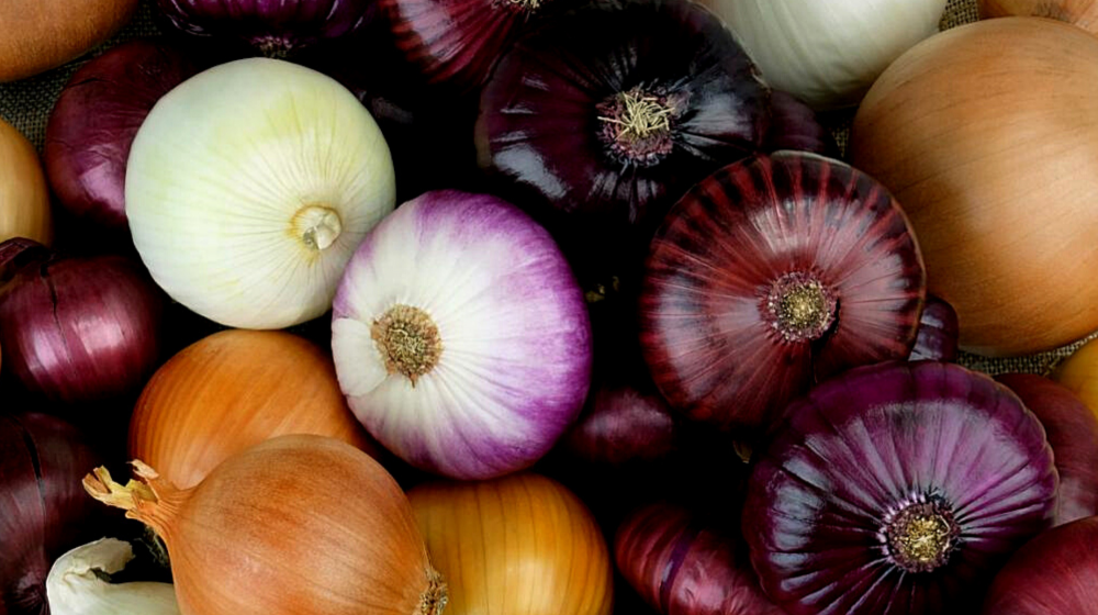 Different color of onions. 