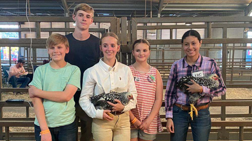 State Fair Poultry Show