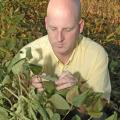 Mississippi State University Extension plant pathologist for the Delta, Tom Allen, inspects soybeans infested with Asian soybean rust in a sentinel plot in Stoneville. (Photo by Robert H. Wells)