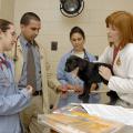 Stacy Lambrinos observes as Dr. Jennifer Burgess illustrates the importance of establishing trust with a young labrador retriever to determine its overall health condition. (Photo by Tom Thompson)