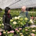 Mississippi State University research horticulturist Guihong Bi  and Natchez Trace Greenhouses manager Mark Terkanian of Kosciusko discuss hydrangea production techniques that may help commercial growers. (Photo by Scott Corey)