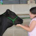 Emmie Rowlen, 8, of Webster County, affectionately pats her dairy calf during a break at Mississippi State University's 4-H dairy cow camp. (Photo by MSU Ag Communications/Kat Lawrence)