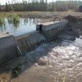 Weirs, also known as check dams, are small dams used to collect water runoff from agricultural fields. They are concrete can be moved to various locations in a drainage ditch. (Photo by MSU Wildlife, Fisheries and Aquaculture /Robbie Kr&ouml;ger)  