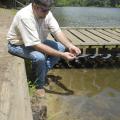 Chickasaw County Extension director Scott Cagle examines the last of some pond weeds in the lake at Camp Tik-A-Witha, operated by the Girl Scouts Heart of the South organization. Cagle helped the camp locate donors to pay for stocking grass carp to restore the lake to swimming quality. (Photo by Linda Breazeale)