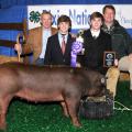 John Lundy (back left) and Eric Clark (back right) along with First South Farm Credit, Wilson's Meat House, Cecil Harper, Kipp Brown and Jim Newsome purchased a Champion Durac Hog from Tanner Ainsworth (front left) and Cory Ainsworth (front right) at the 2011 Dixie National Sale of Junior Champions. The buyers donated the meat to the Leroy Shook family. (Photo by Scott Corey)