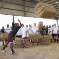 Mississippi State University defensive lineman Kaleb Eulls of Yazoo City takes part in a friendly hay toss competition with fellow football players at the Mississippi Horse Park after Monday's practice on "the farm." The first annual event, called "Beefin' up the Bulldogs," included a steak supper and activities promoting MSU's land-grant heritage. Sponsors included First South Farm Credit, Mississippi Cattlemen's Association, Mississippi Beef Council, MSU's Animal and Dairy Science Department and the Missi