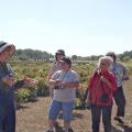 Pam Collins (left), assistant research/Extension professor and director of gardens in Mississippi State University's Department of Plant and Soil Sciences, leads a group of prairie wildflower enthusiasts on a tour of research plots at MSU's North Farm to promote the restoration and preservation of Mississippi's vanishing prairie ecosystems. (Submitted photo.)