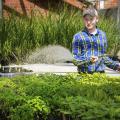 Dallas O'Bryant of West Point, a senior at Mississippi State University, waters seedlings in the greenhouses behind Dorman Hall on March 8, 2013. An agribusiness major and owner of Double D Farms, O'Bryant plans to pursue a career growing produce for local consumers. (Photo by MSU Ag Communications/Scott Corey)