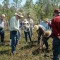 Louisiana botanist Charles Allen describes the four types of carnivorous plants found in the Crosby Arboretum's Hillside Bog during a field walk April 6. The field walk followed Allen's lecture on edible and useful plants of the Gulf South and was co-sponsored by Mississippi State University's Crosby Arboretum and Longue Vue House and Gardens in New Orleans. (Photo by MSU Ag Communications/Susan Collins-Smith)