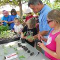 Bill Evans, center, helps Bayleigh Newman, left, and Olivia Leigh Williams, right, plant their watermelon seedlings at Mississippi State University's Truck Crops Station June 12. Employees at the station held a short program on gardening to complement the Dig into Reading theme of this year's statewide library summer reading program. (Photo by MSU Ag Communications/Susan Collins-Smith)