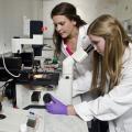 Alexis Parisi of Oxford, left, and Kate Thompson of Picayune are taking part in National Science Foundation research programs for elite undergraduate students. Working in a laboratory in the Mississippi State University Department of Animal and Dairy Science, both are studying reproduction issues. (Photo by MSU College of Veterinary Medicine/Tom Thompson)