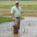 Bobby Golden, Mississippi Agricultural and Forestry Experiment Station researcher, stood in a rice field as he summarized crop conditions and discussed the challenges producers face. Golden was one speaker in the half-day event June 17, 2014 at the Delta Research and Extension Center in Stoneville, Mississippi, that focused on the state's major row crops. (Photo by MSU MAFES/David Ammon)