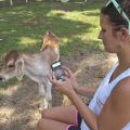 Paula Brown captures a photo of a calf for her business's Facebook page at Brown Family Dairy in Oxford, Mississippi, June 26, 2014. (Photo by MSU Ag Communications/Kevin Hudson)